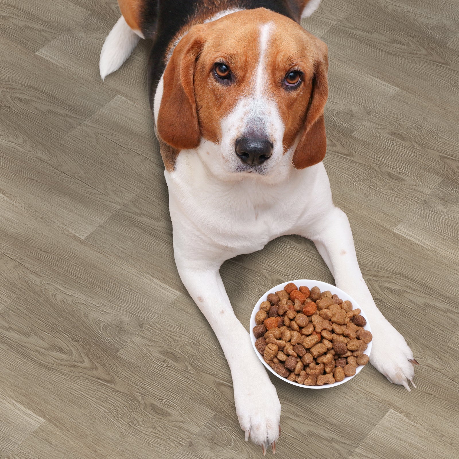 Kid and Pet Safe Products